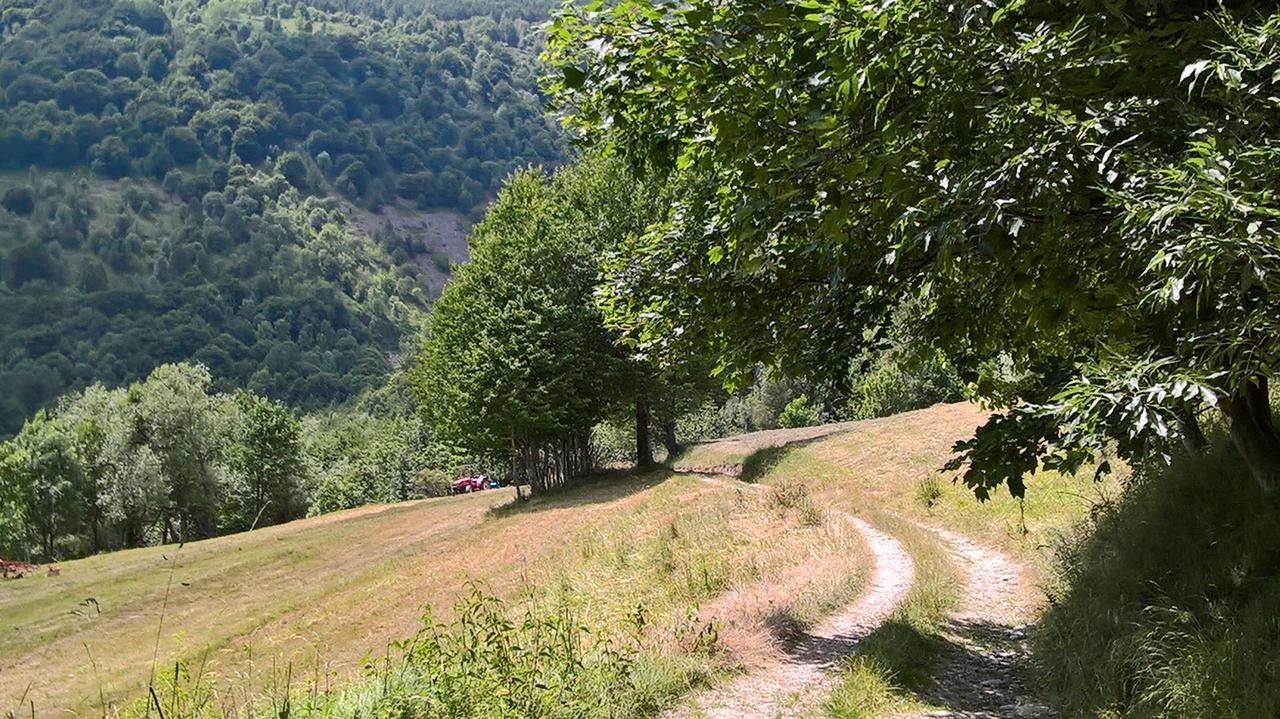 Dell' Olmo 3* Ormea
